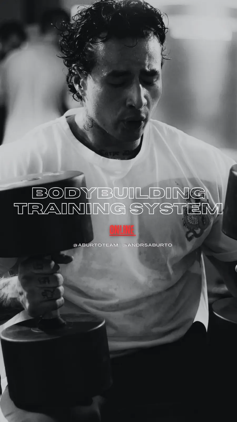 Bodybuilding Training System online con Andrés Aburto